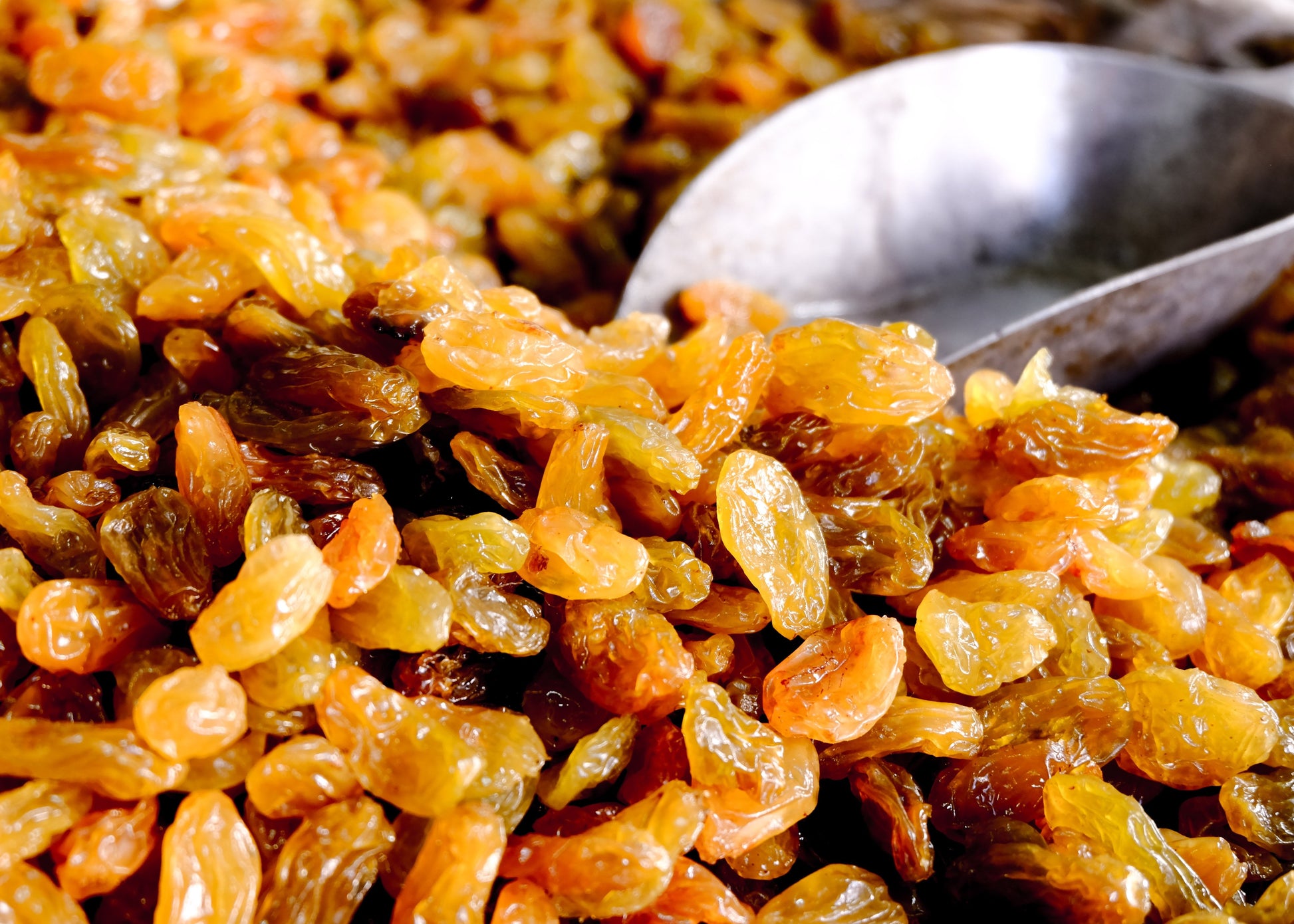 Premium Quality Raisins In Affordable Price